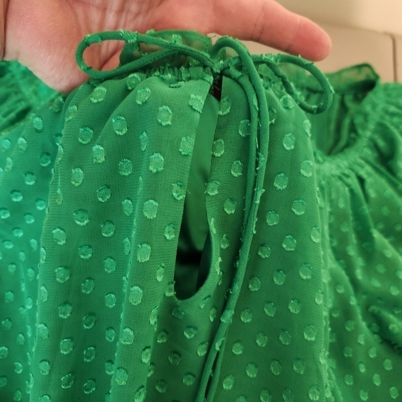 Cato swiss dot Blouse, sz 22/24 kelly green peasant fairy lagenlook oversized - Picture 9 of 10
